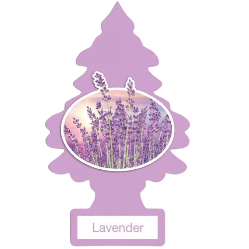 LITTLE TREES - LAVENDER - 1/PK
